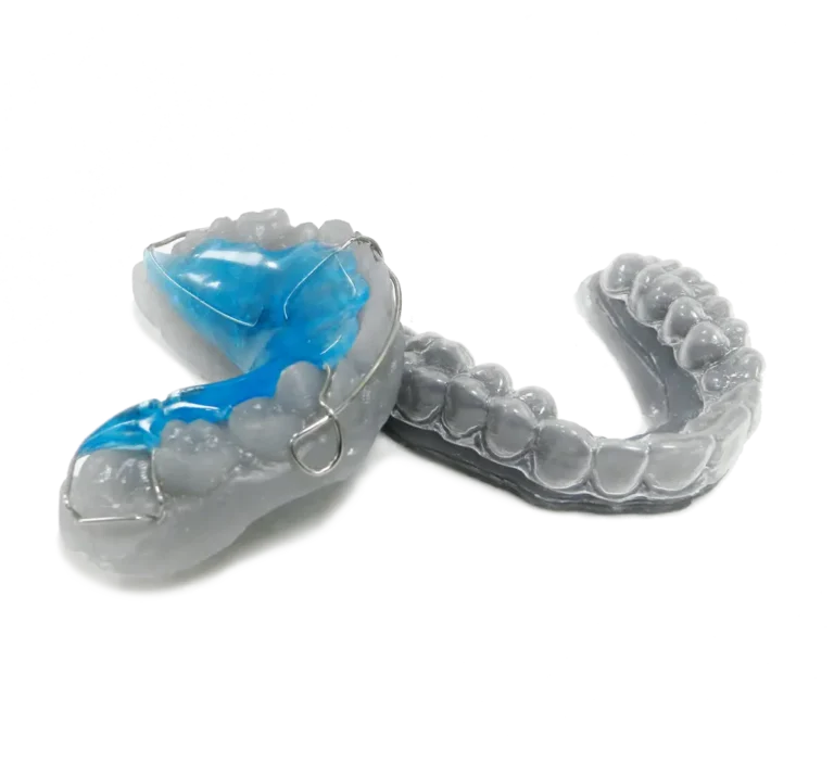Orthodontic Model